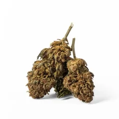 Euphoria CBD Weed Greedy Pig, 100g