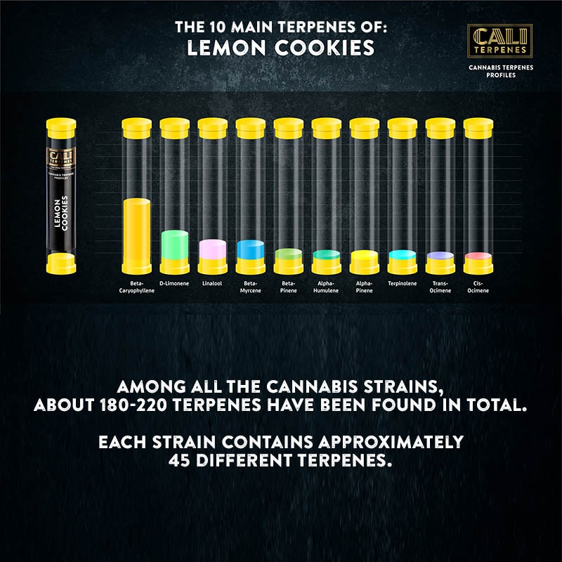 Cali Terpenes - CITRONU CEPUMI, 1 - 1000 ml