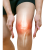 Joints, muscles, tendons