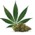 Cannabinoider