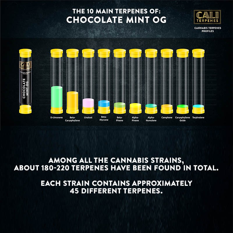 Cali Terpenes - ЧОКОЛАДА НАНА ОГ, 1 - 1000 мл