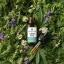 Herbican Pilna spektra CBD eļļa, 40%, 10 ml