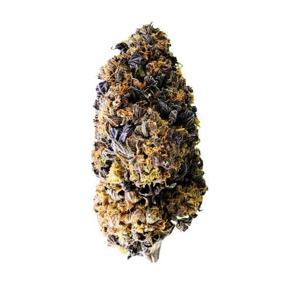 Royal Queen Seeds Cannabis Seeds Wedding Gelato Feminized