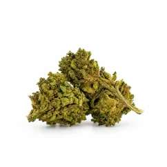 Flor THCX Amnesia 100 g (cultivada en invernadero)