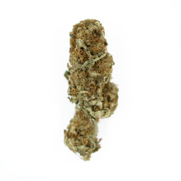 Royal Queen Seeds Cannabis Seeds Euphoria Feminized (High CBD)