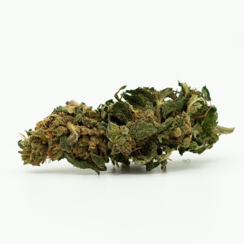 CBD hemp flower Fire Kush, 13% CBD, 0.2% THC (100g - 10 000g)