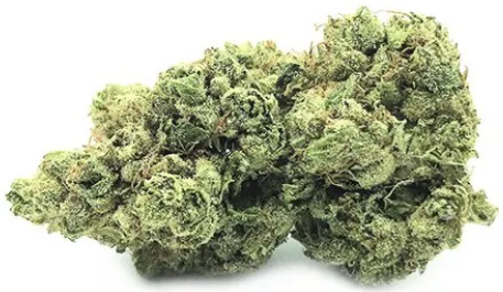 CanaPuff CBD kaņepju ziedu Fire Kush, CBD 13%, 1 g - 10 g
