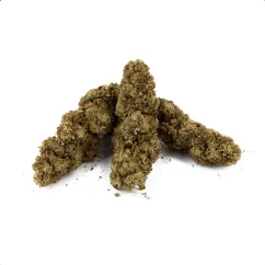 Euphoria T9HC Limoncello Ziedi Bulk, 1 kg - Laboratorijas analīze