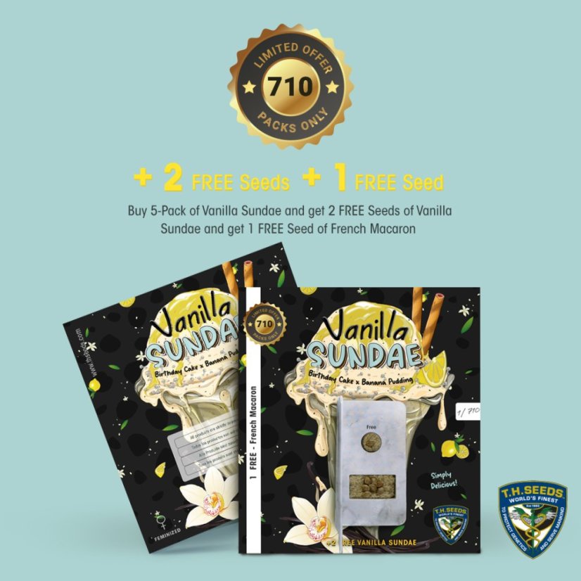 T.H.Seeds™ Cannabis Seeds Vanilla Sundae, various pack, feminized