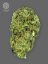 The Bulldog Seeds TB Sour Diesel Regular, 3 and 5 pcs