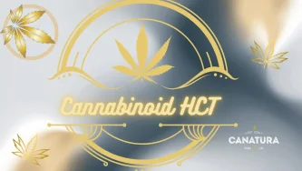 Napis „Cannabinoid HCT” wraz z liśćmi konopi w złotych kolorach, któremu towarzyszy logo Canatura.
