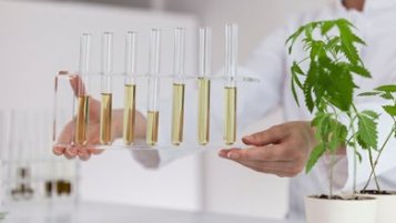 Che cos'è l'H4CBD?