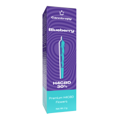 Canntropy H4CBD Prerolls Blueberry, 30 % H4CBD, 1 g