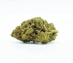 CBD Flower Lost World Külmkuivatatud 21% CBD, "suured pungad", 0,2% THC, 100 g - 10 000 g