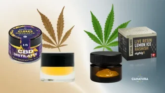 Bên trái là CBD chưng cất, bên phải là live resin, lá cần sa ở nền, logo Canatura ở góc dưới bên phải