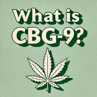 Dòng chữ: CBG9 trên nền xanh nhạt và lá cần sa là gì Dòng chữ: CBG9 trên nền xanh nhạt và lá cần sa là gì