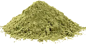 CBD Protein