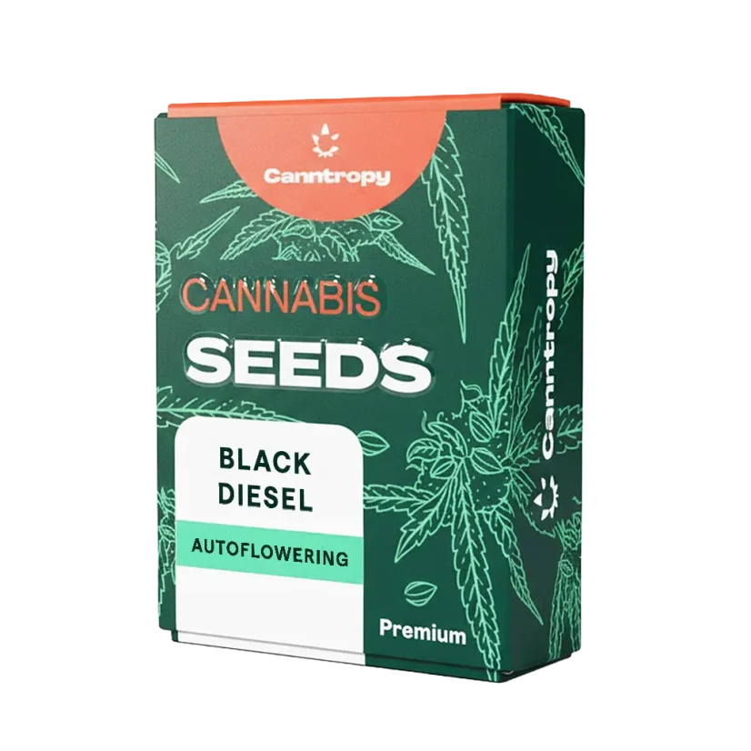 Canntropy Nasiona Black Diesel (Feminizowane)