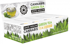 Cannabis White Widow Green Tea - Display Container (100 Teabags), 200 g