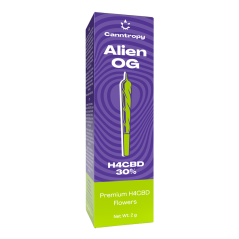 Canntropy H4CBD Prerolls Alien OG, 30 % H4CBD, 1 g
