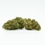 CBD Greenhouse Flower Northern Light 11 %, 1 g - 100 g