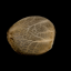 Silent Seeds Cannabis Seeds Critical + 2.0 Auto Feminized