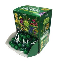 Euphoria Cannabis -tikkarit, suuri pakkaus, 200 kpl x 12 g, 2400 g