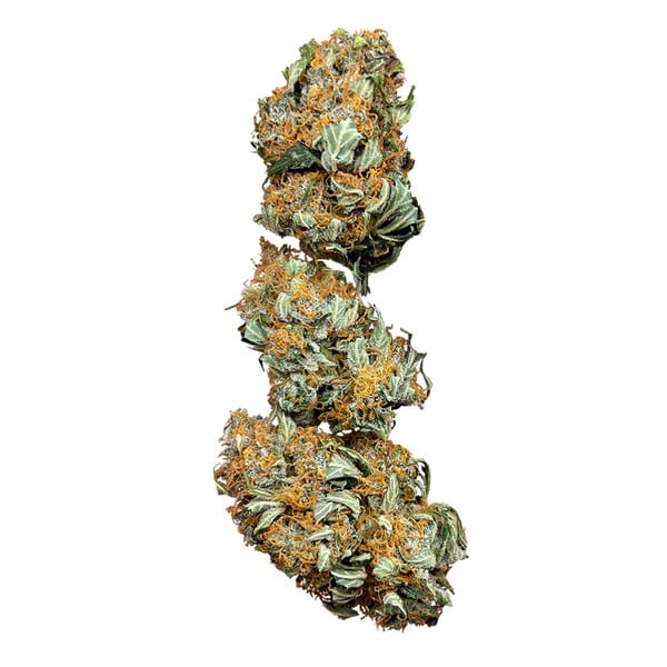 Royal Queen Seeds Cannabis Seeds Wedding cake Feminized