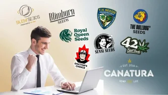 Một quý ông đang ngồi trước máy tính xách tay với các biểu tượng hạt cần sa phía trên – cách tạo ra một đề xuất hạt cần sa có lợi nhuận cho cửa hàng trực tuyến của quý vị. Một quý ông đang ngồi trước máy tính xách tay với các biểu tượng hạt cần sa phía trên – cách tạo ra một đề xuất hạt cần sa có lợi nhuận cho cửa hàng trực tuyến của quý vị.