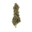 Royal Queen Seeds Cannabis Seeds Royal Medic Feminized (augsts CBD)