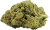 THCPO Flowers