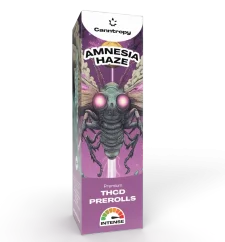 Canntropy THCD Preroll Amnesia Haze, 1 g