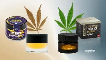 Levo CBD destilat, desno live resin, u pozadini listovi konoplje, u donjem desnom uglu logo Canatura