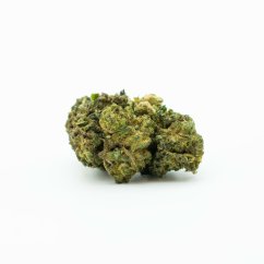 HHC Zieds Gelato 30%, 100g - 10 000g