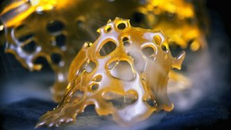 Cannabis concentrates - everything in one place