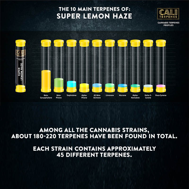 Cali Terpenes - Супер Лемон Хазе, 1 - 1000 мл