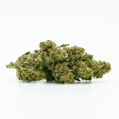 CBD gróðurhúsablóm Sweet Mango 10 %, 1 g - 100 g