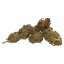Flowrolls CBD Prerolls Skittlez, 50 mg CBD, 0,8 g