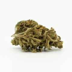 CBD konopný květ Sugar Queen, 17% CBD, 0,2% THC ( 100g - 10 000g )