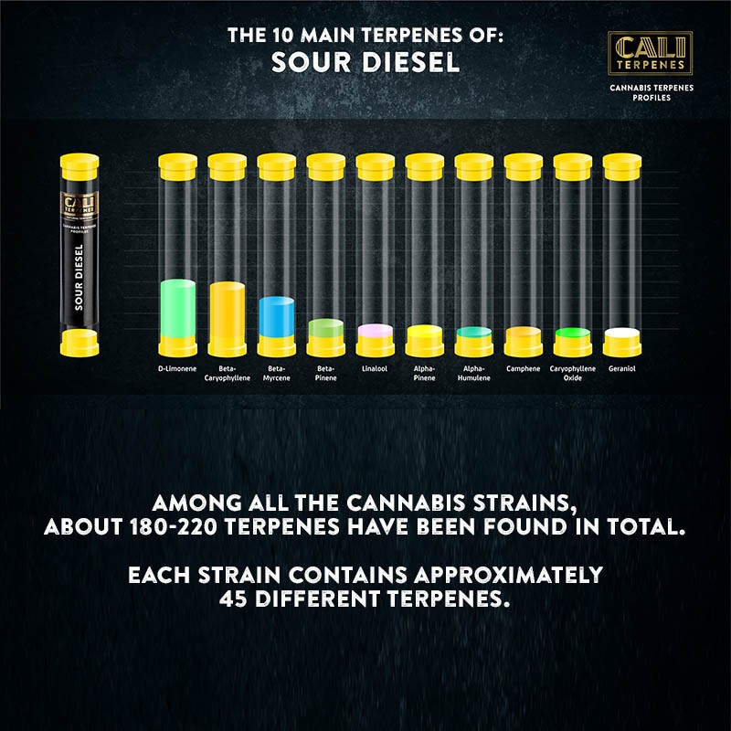 Cali Terpenes - КИСЕЛО ДИЗЕЛ, 1 - 1000 мл