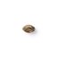 The Bulldog Seeds Joris Pound Cake Feminized, 3 and 5 pcs