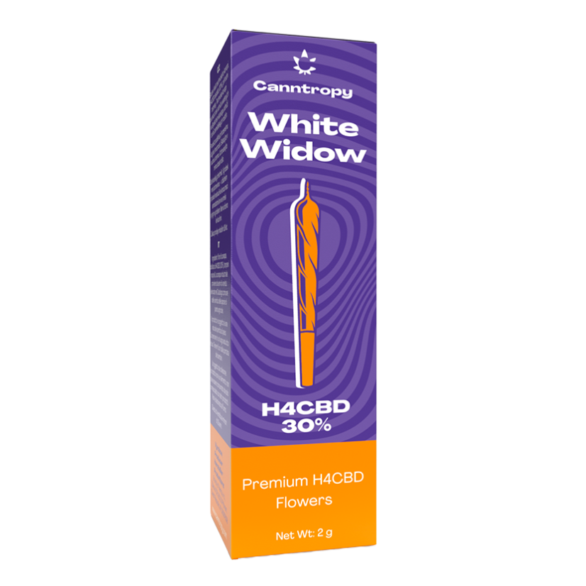 Canntropy H4CBD Prerolls White Widow, 30 % H4CBD, 1,5g - Display box, 10 gab.