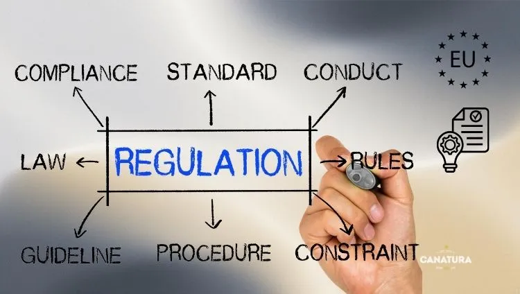A diagram illustrating the European Union’s regulatory framework and the rules for placing vaping products on the market 