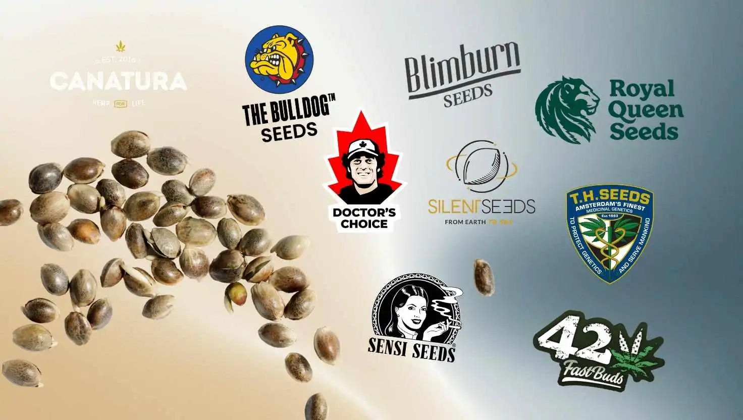 High-quality cannabis seeds from leading global brands – Blimburn Seeds, Royal Queen Seeds, Doctor's Choice, Silent Seeds, T.H. Seeds, Sensi Seeds, Fast Buds and The Bulldog Seeds
