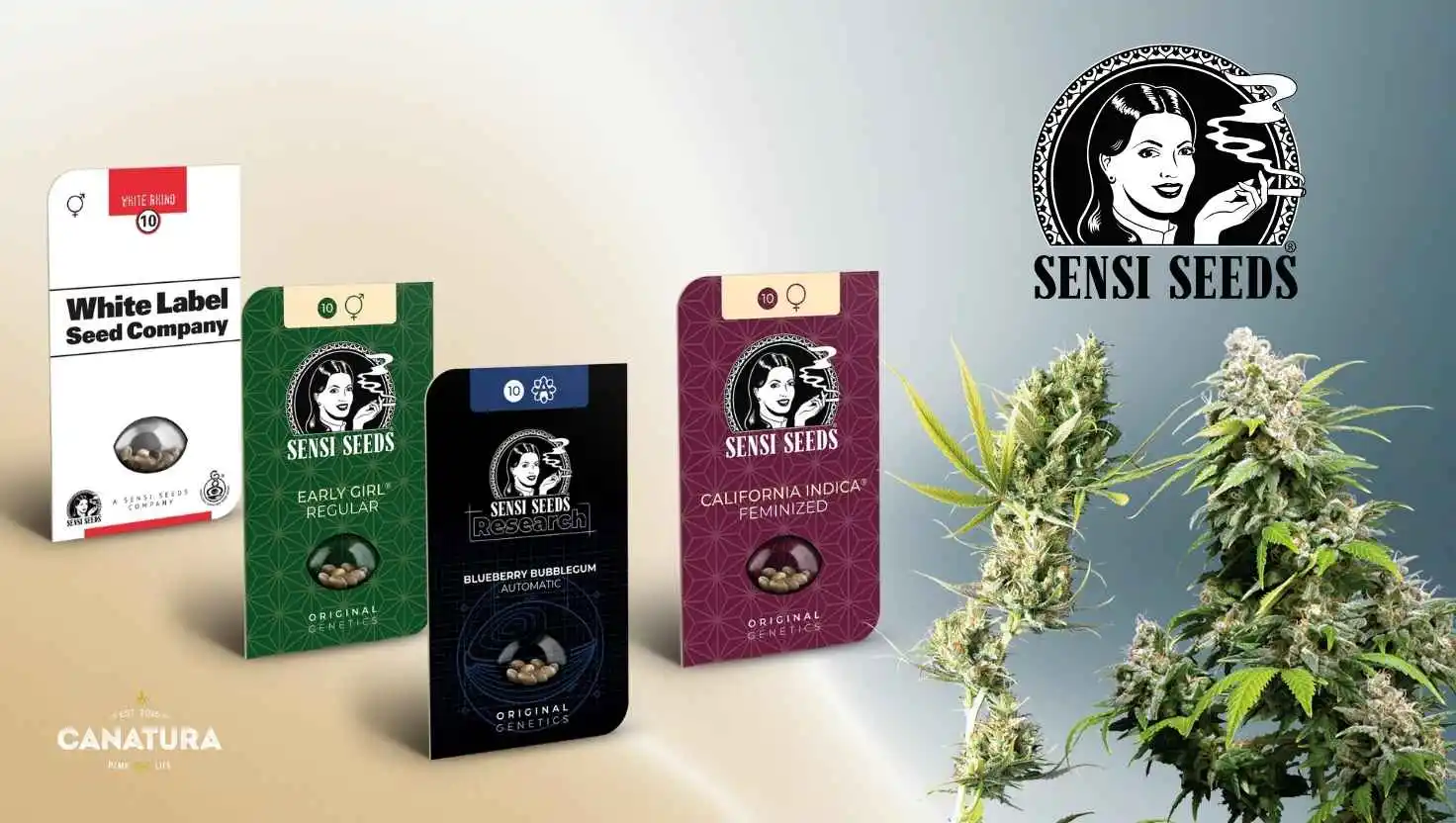 Sensi Seeds