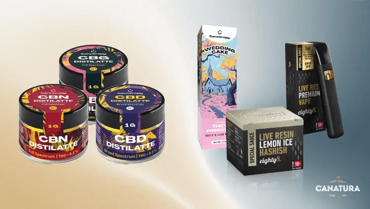 CBD, CBG and CBN distillates Canntropy, THCV and live resin Wedding Cake prerolls Canntropy, live resin vape Eighty8 and live resin Lemon Ice Hashish Eighty8, with the Canatura logo in the lower right corner