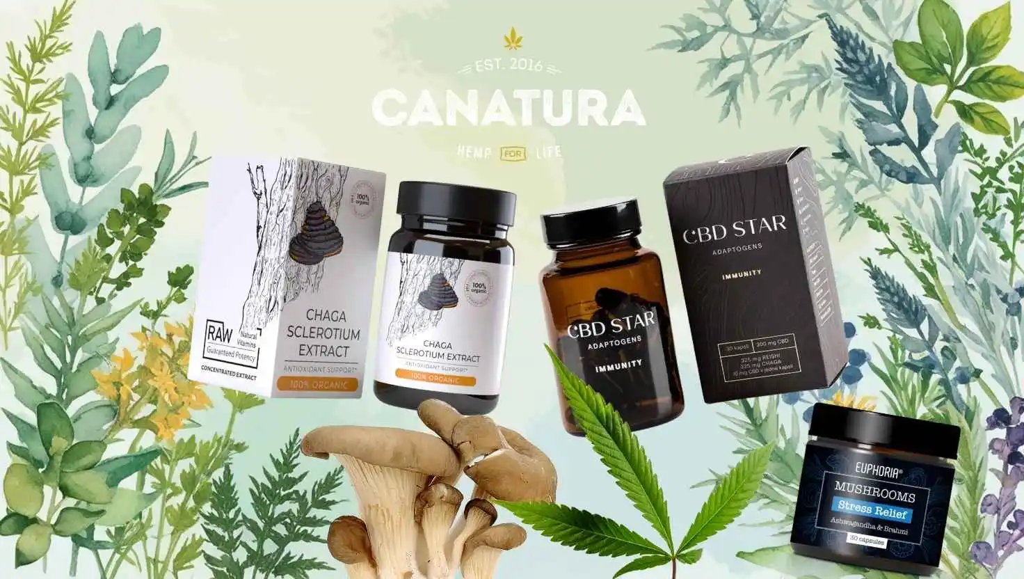 CBD・アダプトゲン：ハーブ＆サプリの可能性 (2025)