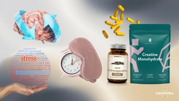  Nootropics and adaptogens for brain performance – Hemnia Creatine Monohydrate Creavitalis® and Cannaline Ashwagandha Resilient Adaptogen for focus, stress, and sleep; CanaturaWholesale logo at the bottom right