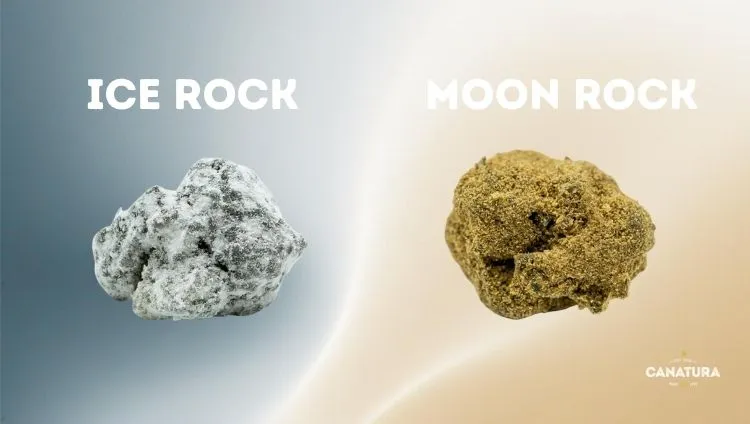 Ice Rock vs. Moon Rock, CanaturaWholesale logo bottom right