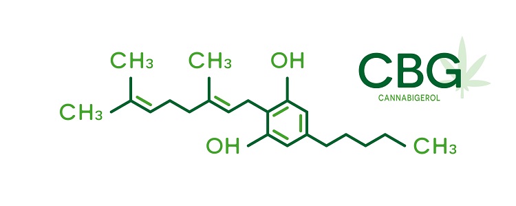 Representação da estrutura química da CBG, texto: CBG, canabigerol